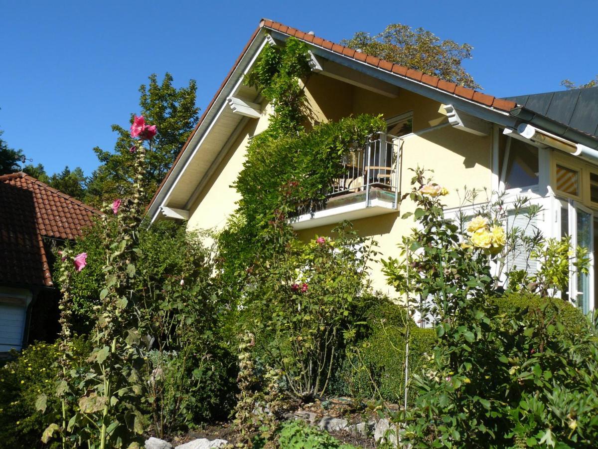 Апартаменты Haus Ahorn Бад-Дюрхайм Экстерьер фото